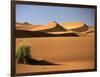 Sand Dunes in Namib Desert, Namibia-Walter Bibikow-Framed Photographic Print