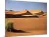 Sand Dunes in Namib Desert, Namibia-Walter Bibikow-Mounted Photographic Print