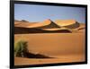 Sand Dunes in Namib Desert, Namibia-Walter Bibikow-Framed Photographic Print