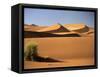 Sand Dunes in Namib Desert, Namibia-Walter Bibikow-Framed Stretched Canvas