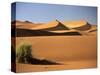 Sand Dunes in Namib Desert, Namibia-Walter Bibikow-Stretched Canvas