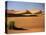 Sand Dunes in Namib Desert, Namibia-Walter Bibikow-Stretched Canvas