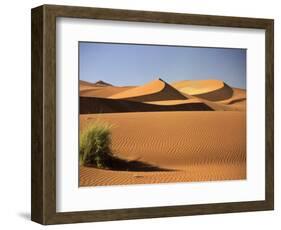 Sand Dunes in Namib Desert, Namibia-Walter Bibikow-Framed Photographic Print