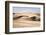 Sand Dunes in the Desert at Huacachina, Ica Region, Peru, South America-Matthew Williams-Ellis-Framed Photographic Print