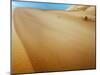 Sand Dunes in the Desert-Steven Boone-Mounted Photographic Print