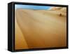 Sand Dunes in the Desert-Steven Boone-Framed Stretched Canvas