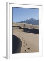 Sand Dunes in the Great Sand Dunes National Park and Preserve-Richard Maschmeyer-Framed Photographic Print