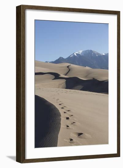 Sand Dunes in the Great Sand Dunes National Park and Preserve-Richard Maschmeyer-Framed Photographic Print