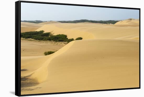 Sand Dunes, Medanos de Coro NP, Near Coro, Falcon State, Venezuela-Keren Su-Framed Stretched Canvas