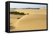 Sand Dunes, Medanos de Coro NP, Near Coro, Falcon State, Venezuela-Keren Su-Framed Stretched Canvas