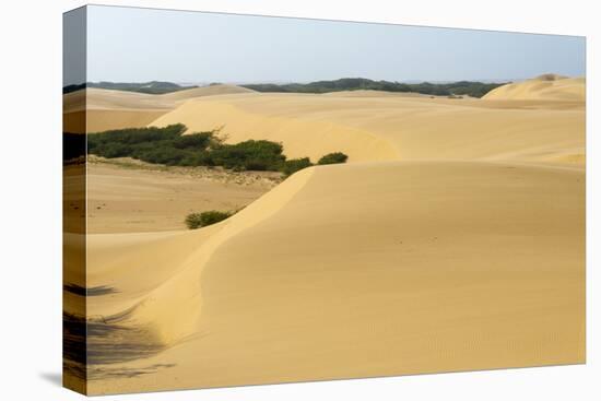 Sand Dunes, Medanos de Coro NP, Near Coro, Falcon State, Venezuela-Keren Su-Stretched Canvas