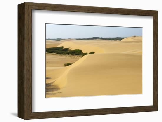 Sand Dunes, Medanos de Coro NP, Near Coro, Falcon State, Venezuela-Keren Su-Framed Photographic Print