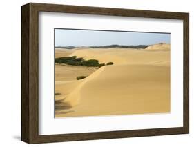 Sand Dunes, Medanos de Coro NP, Near Coro, Falcon State, Venezuela-Keren Su-Framed Photographic Print