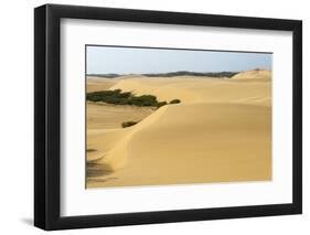 Sand Dunes, Medanos de Coro NP, Near Coro, Falcon State, Venezuela-Keren Su-Framed Photographic Print