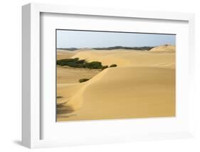 Sand Dunes, Medanos de Coro NP, Near Coro, Falcon State, Venezuela-Keren Su-Framed Photographic Print