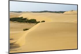 Sand Dunes, Medanos de Coro NP, Near Coro, Falcon State, Venezuela-Keren Su-Mounted Photographic Print