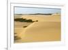 Sand Dunes, Medanos de Coro NP, Near Coro, Falcon State, Venezuela-Keren Su-Framed Photographic Print