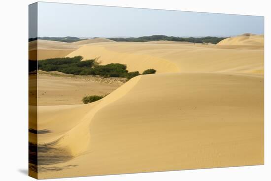 Sand Dunes, Medanos de Coro NP, Near Coro, Falcon State, Venezuela-Keren Su-Stretched Canvas