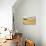 Sand Dunes, Medanos de Coro NP, Near Coro, Falcon State, Venezuela-Keren Su-Photographic Print displayed on a wall