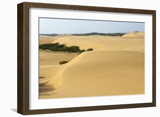 Sand Dunes, Medanos de Coro NP, Near Coro, Falcon State, Venezuela-Keren Su-Framed Photographic Print