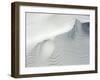 Sand Dunes, Medium Close-Up, Germany, Lower Saxony, the North Sea, East Frisian, Borkum-Andreas Keil-Framed Photographic Print