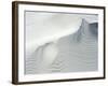 Sand Dunes, Medium Close-Up, Germany, Lower Saxony, the North Sea, East Frisian, Borkum-Andreas Keil-Framed Photographic Print