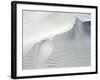 Sand Dunes, Medium Close-Up, Germany, Lower Saxony, the North Sea, East Frisian, Borkum-Andreas Keil-Framed Photographic Print