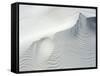 Sand Dunes, Medium Close-Up, Germany, Lower Saxony, the North Sea, East Frisian, Borkum-Andreas Keil-Framed Stretched Canvas