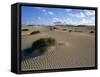 Sand Dunes, Near Corralejo, Fuerteventura, Canary Islands, Spain, Atlantic, Europe-Stuart Black-Framed Stretched Canvas