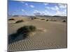 Sand Dunes, Near Corralejo, Fuerteventura, Canary Islands, Spain, Atlantic, Europe-Stuart Black-Mounted Photographic Print