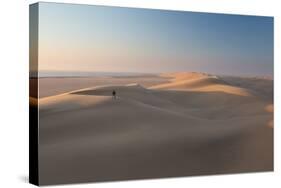 Sand Dunes Near Swakopmund in Namibia-Alex Saberi-Stretched Canvas