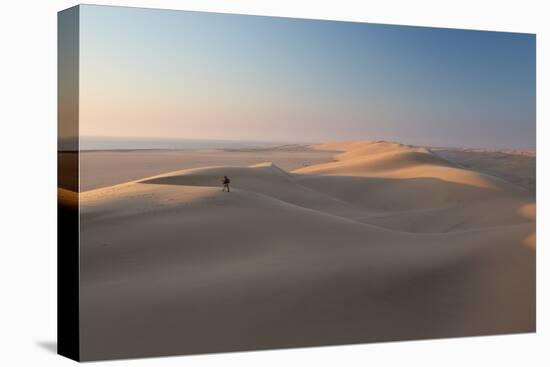 Sand Dunes Near Swakopmund in Namibia-Alex Saberi-Stretched Canvas