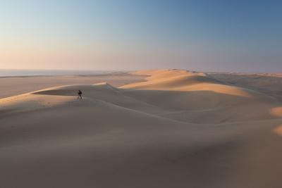 https://imgc.allpostersimages.com/img/posters/sand-dunes-near-swakopmund-in-namibia_u-L-Q135W3J0.jpg?artPerspective=n