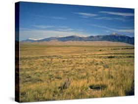 Sand Dunes of Great Sand Dunes National Park and Preserve in the Sangre De Cristo Mountains, CO-Bernard Friel-Stretched Canvas