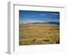 Sand Dunes of Great Sand Dunes National Park and Preserve in the Sangre De Cristo Mountains, CO-Bernard Friel-Framed Photographic Print