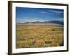 Sand Dunes of Great Sand Dunes National Park and Preserve in the Sangre De Cristo Mountains, CO-Bernard Friel-Framed Photographic Print