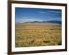 Sand Dunes of Great Sand Dunes National Park and Preserve in the Sangre De Cristo Mountains, CO-Bernard Friel-Framed Photographic Print