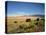 Sand Dunes of Great Sand Dunes National Park and Preserve in the Sangre De Cristo Mountains, CO-Bernard Friel-Stretched Canvas