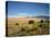 Sand Dunes of Great Sand Dunes National Park and Preserve in the Sangre De Cristo Mountains, CO-Bernard Friel-Stretched Canvas