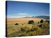 Sand Dunes of Great Sand Dunes National Park and Preserve in the Sangre De Cristo Mountains, CO-Bernard Friel-Stretched Canvas