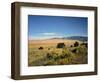 Sand Dunes of Great Sand Dunes National Park and Preserve in the Sangre De Cristo Mountains, CO-Bernard Friel-Framed Photographic Print