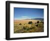 Sand Dunes of Great Sand Dunes National Park and Preserve in the Sangre De Cristo Mountains, CO-Bernard Friel-Framed Photographic Print