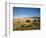 Sand Dunes of Great Sand Dunes National Park and Preserve in the Sangre De Cristo Mountains, CO-Bernard Friel-Framed Photographic Print