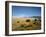 Sand Dunes of Great Sand Dunes National Park and Preserve in the Sangre De Cristo Mountains, CO-Bernard Friel-Framed Photographic Print