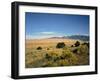 Sand Dunes of Great Sand Dunes National Park and Preserve in the Sangre De Cristo Mountains, CO-Bernard Friel-Framed Photographic Print