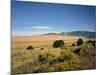 Sand Dunes of Great Sand Dunes National Park and Preserve in the Sangre De Cristo Mountains, CO-Bernard Friel-Mounted Photographic Print