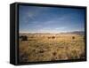 Sand Dunes of Great Sand Dunes National Park and Preserve in the Sangre De Cristo Mountains, CO-Bernard Friel-Framed Stretched Canvas