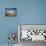 Sand Dunes of Great Sand Dunes National Park and Preserve in the Sangre De Cristo Mountains, CO-Bernard Friel-Photographic Print displayed on a wall