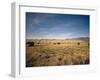 Sand Dunes of Great Sand Dunes National Park and Preserve in the Sangre De Cristo Mountains, CO-Bernard Friel-Framed Photographic Print