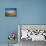 Sand Dunes of Great Sand Dunes National Park and Preserve in the Sangre De Cristo Mountains, CO-Bernard Friel-Mounted Photographic Print displayed on a wall